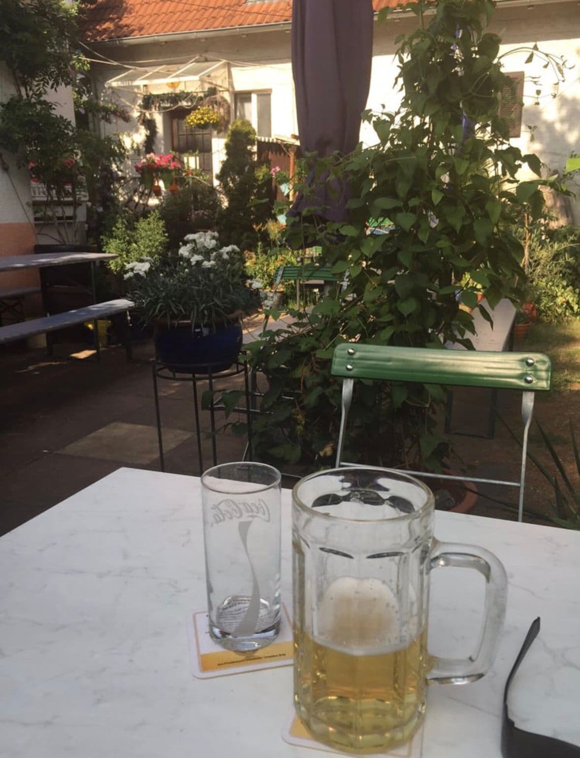 Abende im Wildpfadstüble